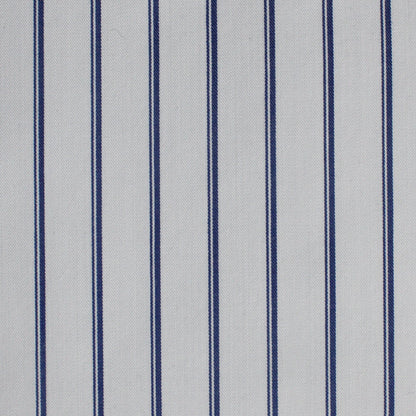Lignes de l'Himalaya